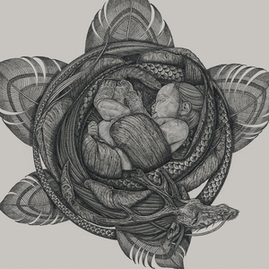 女人荫蒂被添全过程美国
