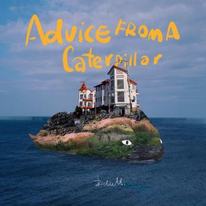 女人荫蒂被添全过程美国
