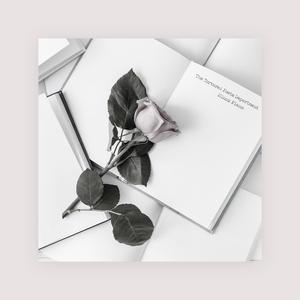 女人荫蒂被添全过程美国
